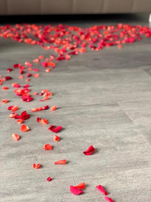 Alter Kornspeicher Havelberg (77)